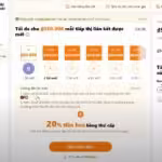 Temu Affiliate – Cơ hội kiếm tiền online đơn giản và hiệu quả năm 2024