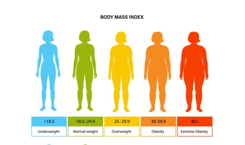 Biểu đồ phân loại chỉ số BMI