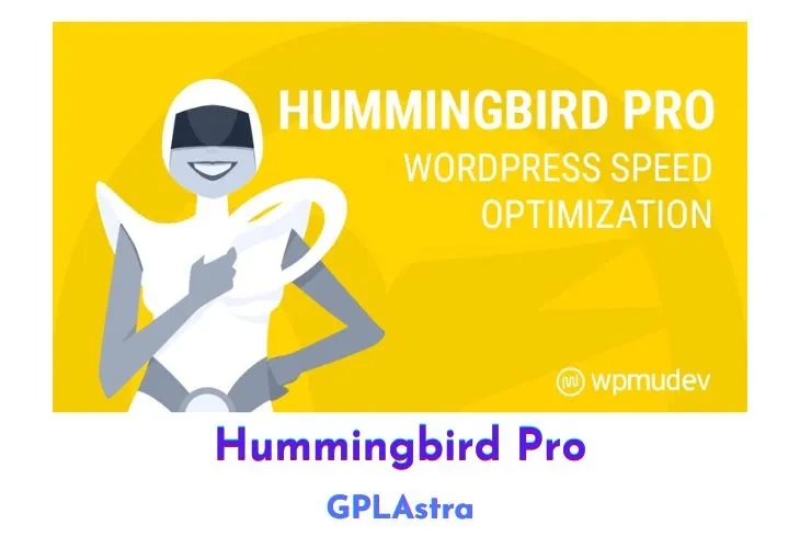 Tối Ưu Tốc Độ WordPress Miễn Phí: Khám Phá Sức Mạnh Hummingbird Pro