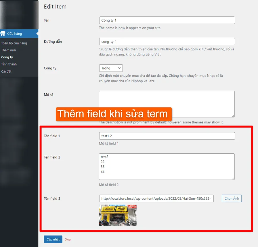 Custom field trong form sửa term