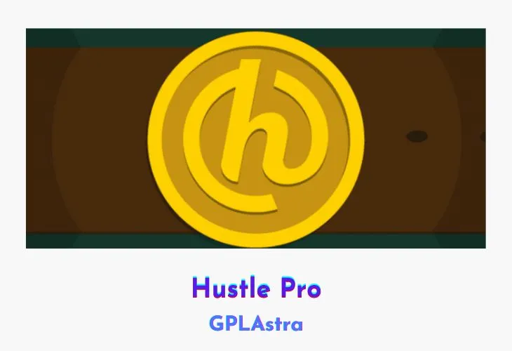 Hustle Pro Plugin Overview