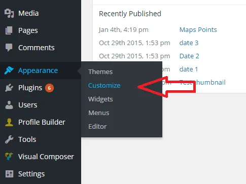 Vị trí Customizer