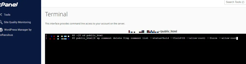 Cấu trúc lệnh WP-CLI để xóa comment spam