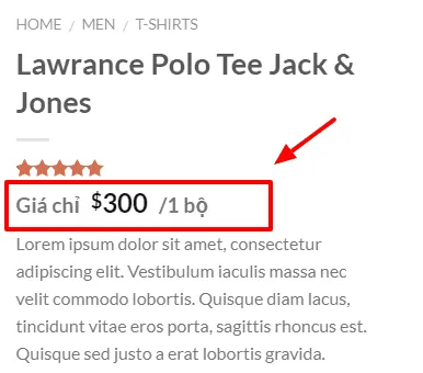 Ví dụ hiển thị giá sản phẩm với Prefix và Suffix
