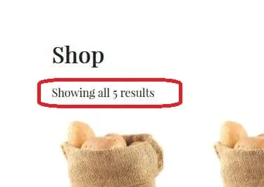 Tối ưu hóa trải nghiệm WooCommerce: Các hook thiết yếu bạn cần biết