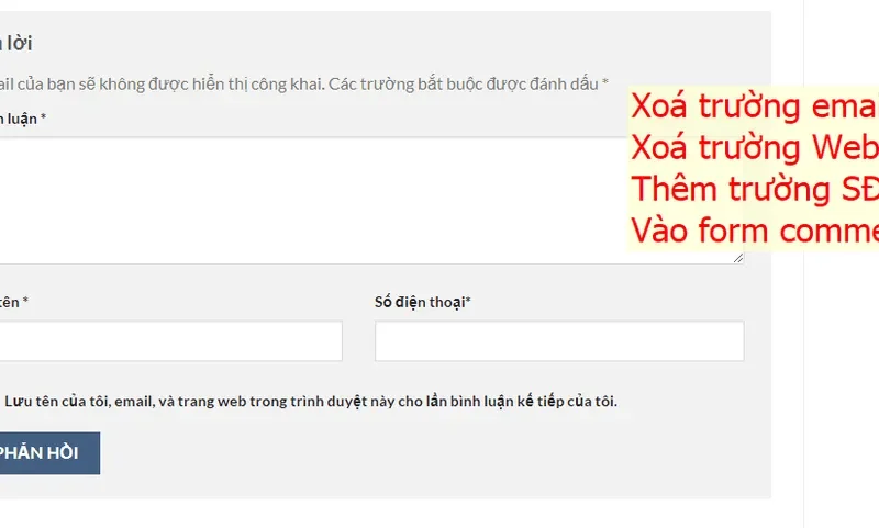 Tối ưu Form Bình Luận WordPress: Thêm SĐT, Xóa Email Dễ Dàng