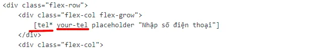 Ví dụ trường số điện thoại