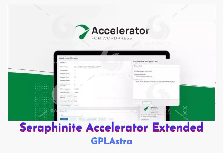 Seraphinite Accelerator Extended: Tối Ưu Tốc Độ WordPress Đỉnh Cao