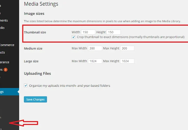 Tối ưu Hiển Thị Ảnh Gallery WordPress: Nâng Cao Trải Nghiệm Người Dùng