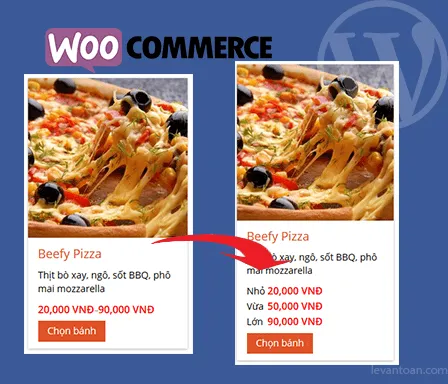 Thay đổi kiểu hiển thị giá variable 2