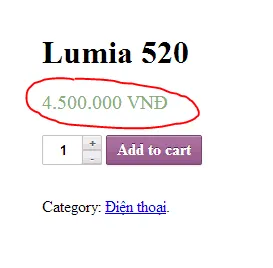 Kết quả hiển thị tiền tệ VNĐ sau cài đặt