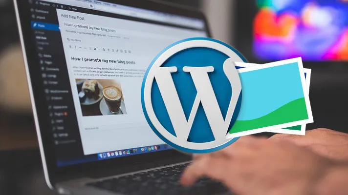 Tối ưu hiển thị WordPress: Kiểm soát thẻ P quanh ảnh hiệu quả