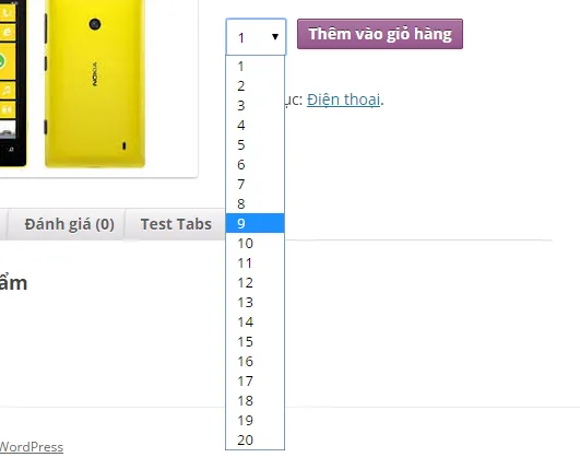 Cá nhân hóa số lượng sản phẩm WooCommerce: Bí quyết tăng chuyển đổi