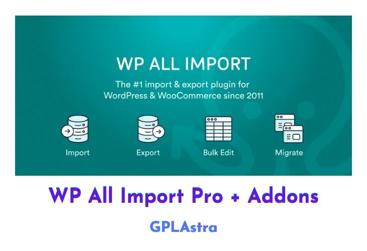 WP All Import Pro ACF Add-On: Nhập liệu ACF hiệu quả, tăng tốc dự án